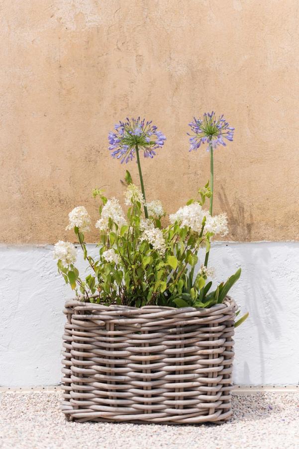 La Petite Ruche, 1 Bedroom Gite In The Luberon アプト エクステリア 写真